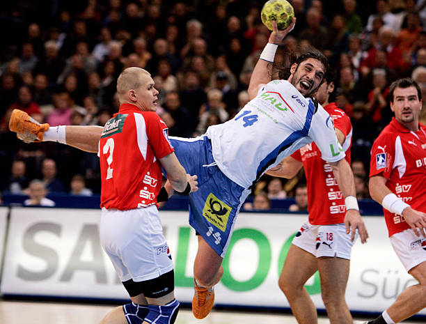 拥有稳定的 拥有稳定的