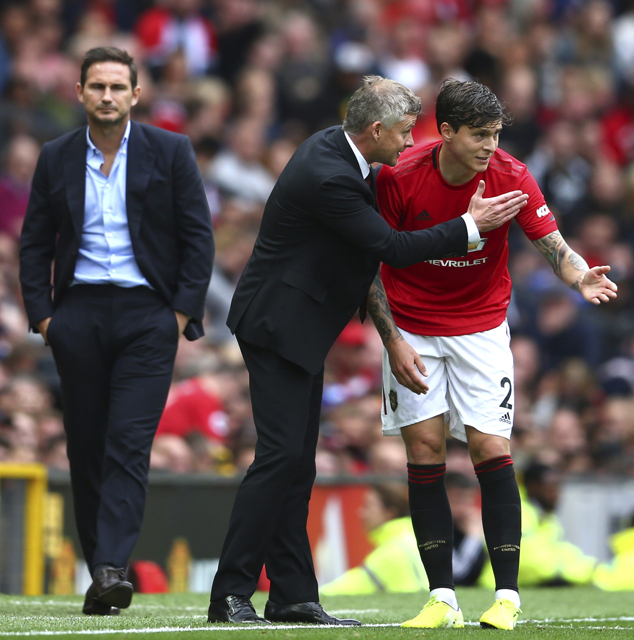 不是因为他 不是因为他