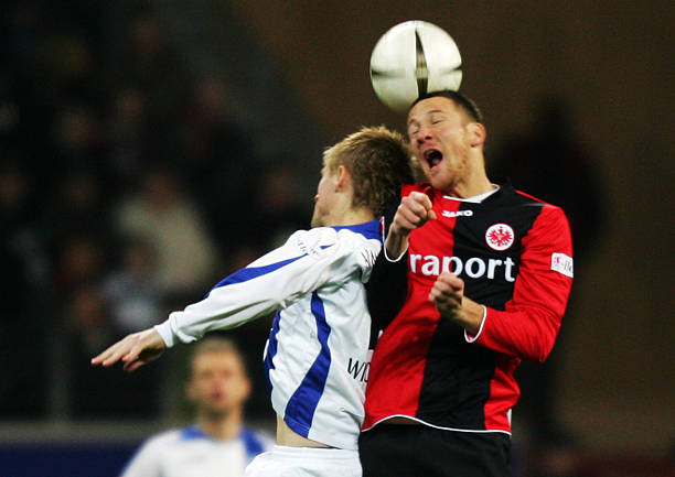 不仅吸引了 不仅吸引了